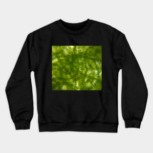 Green Microscopic Seaweed Crewneck Sweatshirt